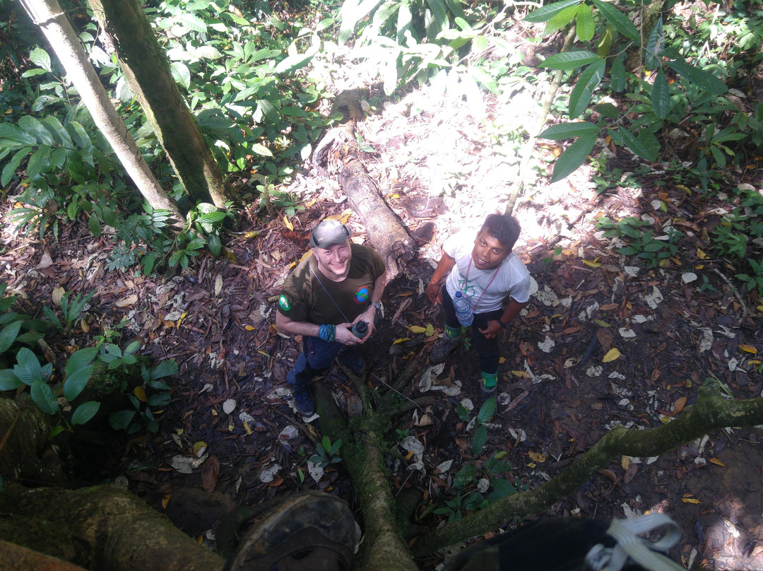 Jungle Tour With Salman-Ketambe必去景点