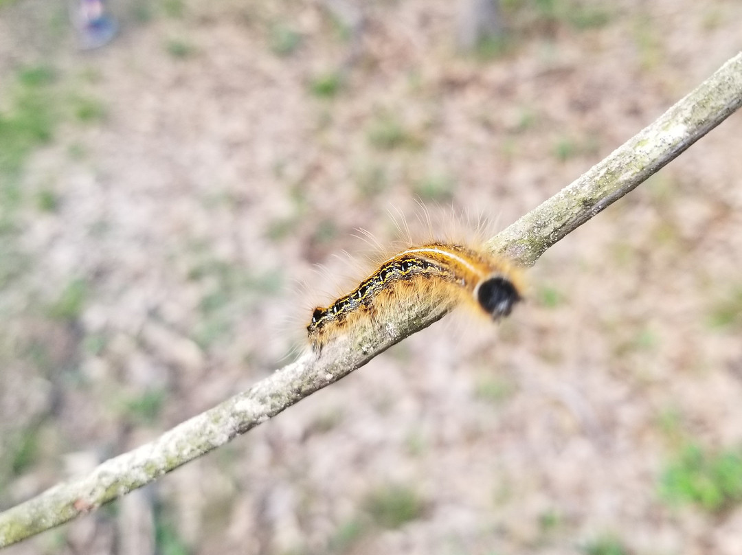 Fairfield Lake State Park-Fairfield必去景点