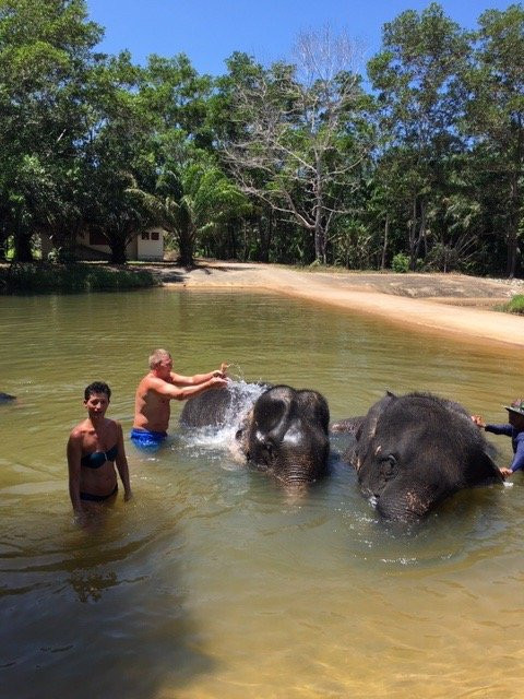 Supaporn Elephant Camp景点图片