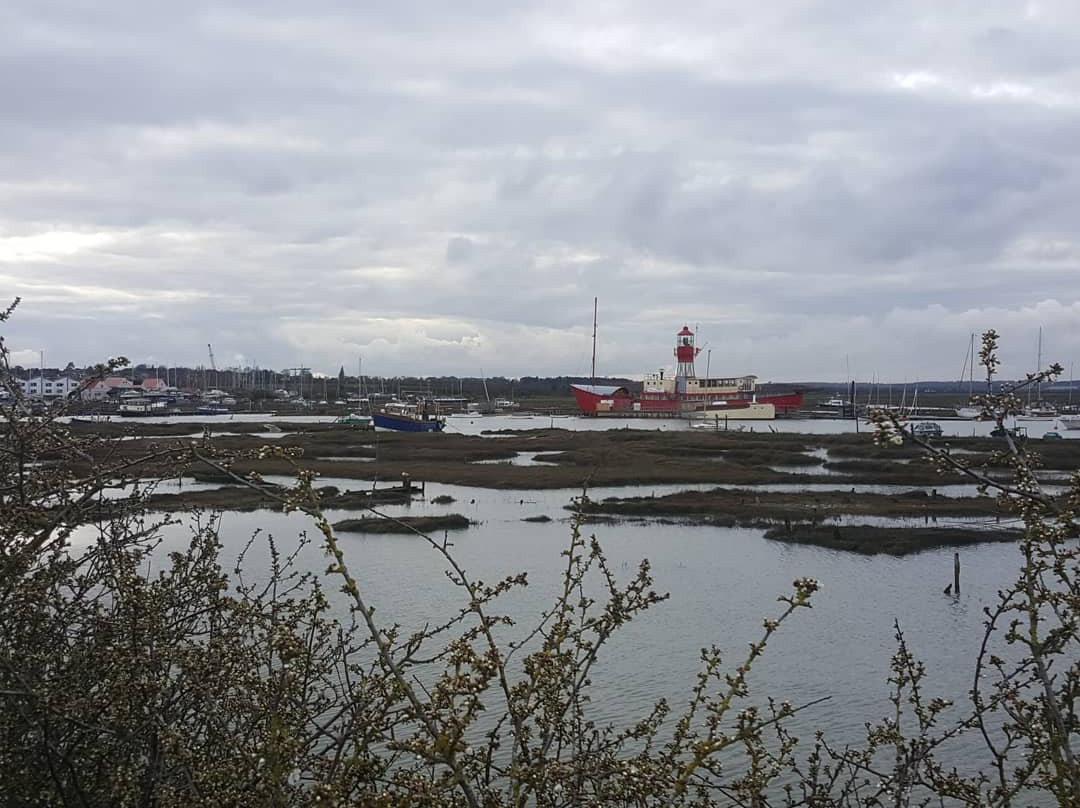 Tollesbury Wick Nature Reserve景点图片