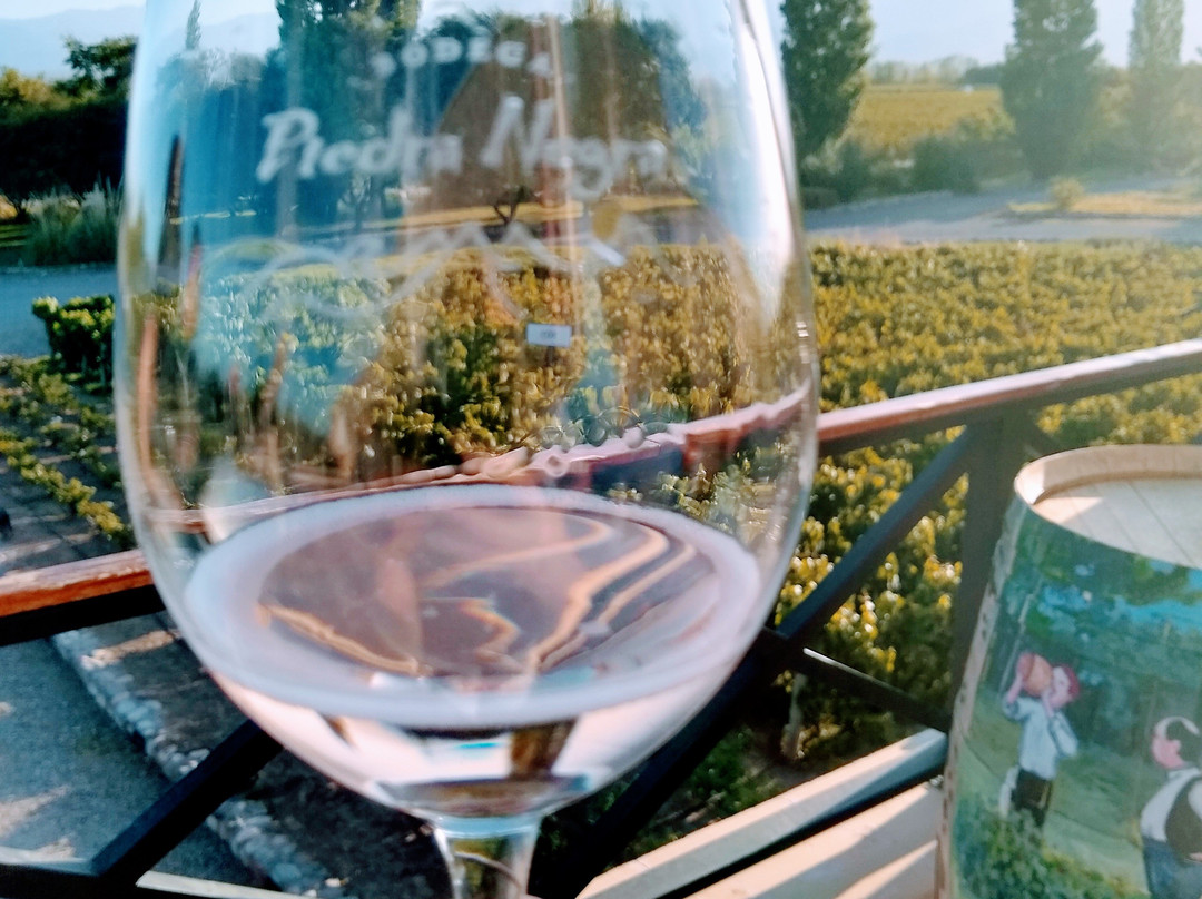 Bodega Piedra Negra-Vista Flores必去景点