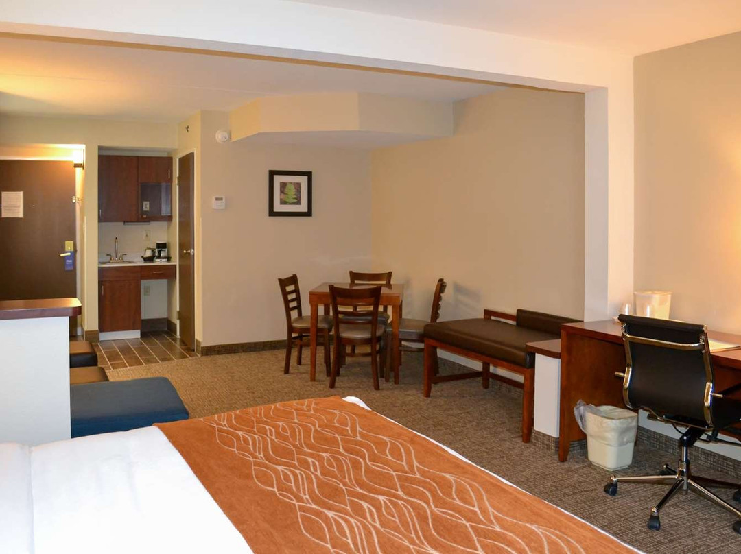 Comfort Inn & Suites Wilkes Barre - Arena主图