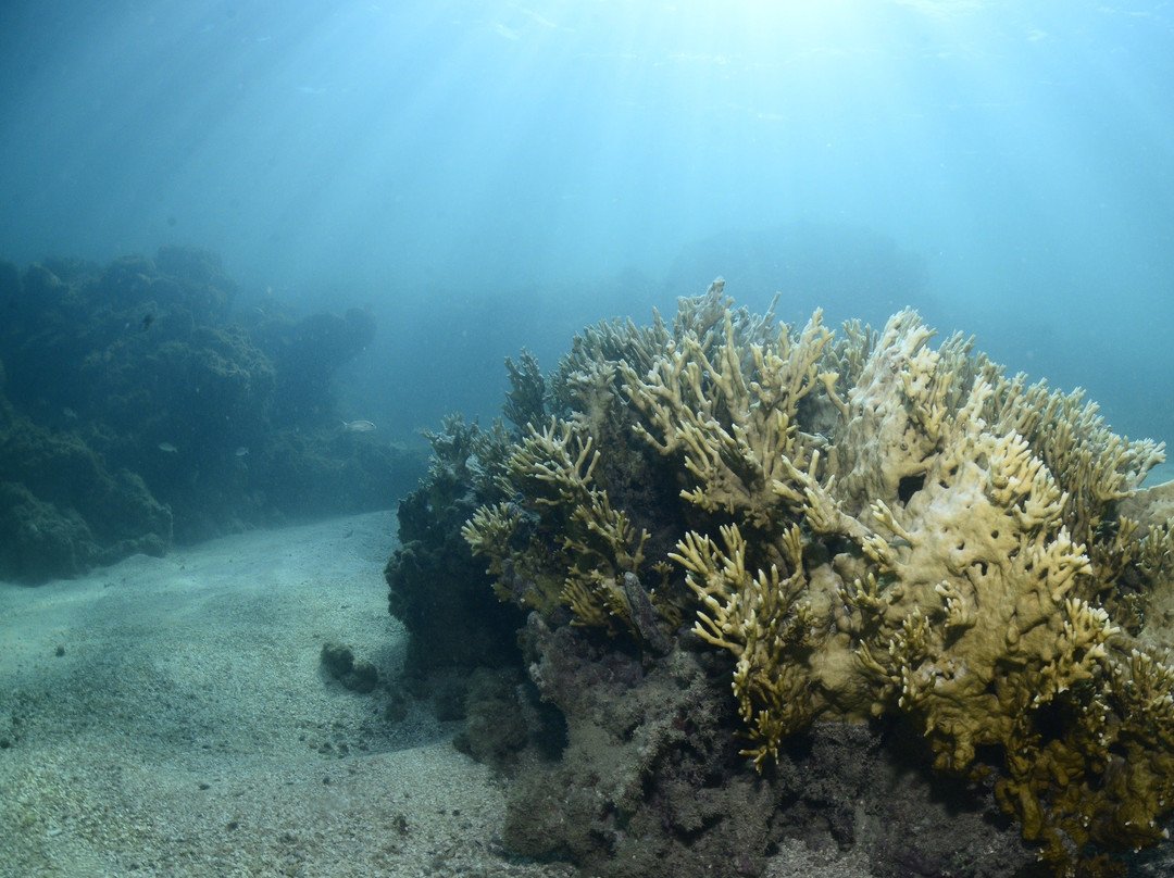 Abissal Mergulho-伊波茹卡必去景点