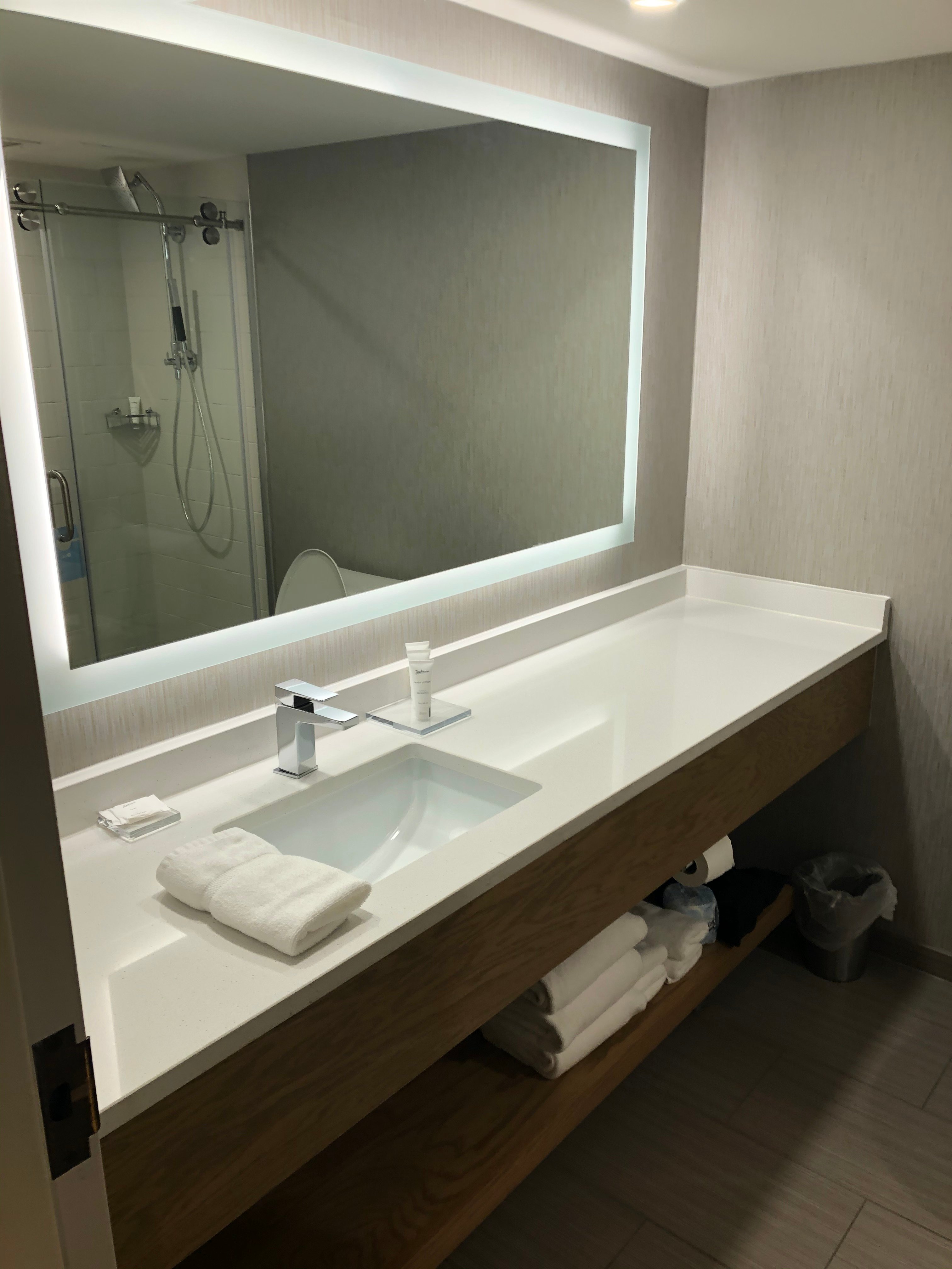 DoubleTree by Hilton Lansing-浴室