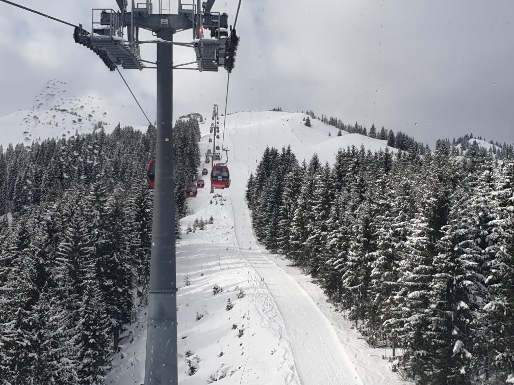 Berggasthof Schatzbergalm Restaurant
