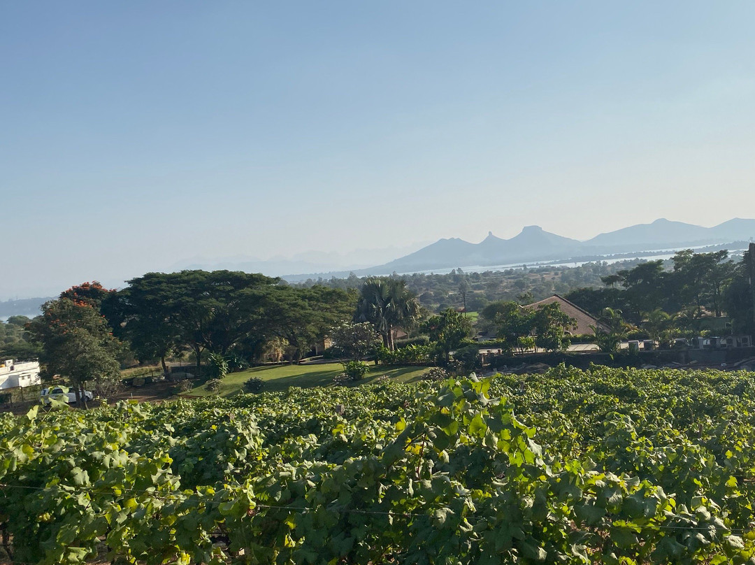 Grover Zampa Vineyards Nashik-纳西克必去景点