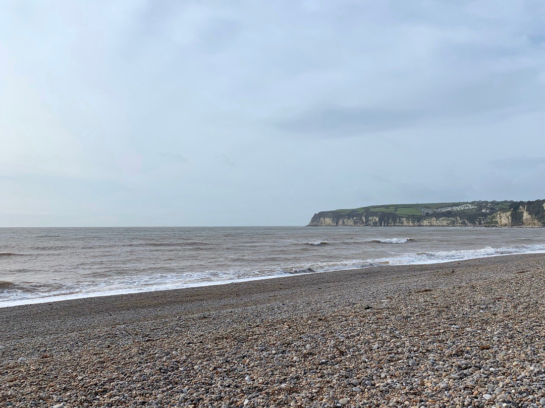 Seaton Beach and Chine景点图片