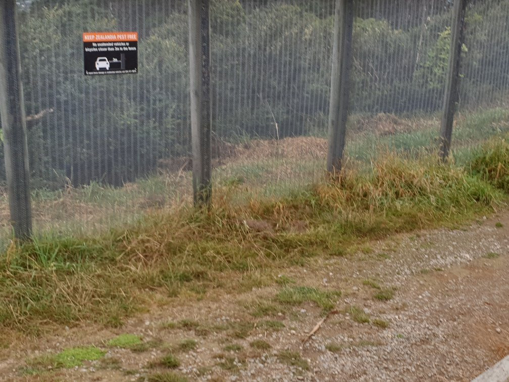 Wellington Wind Turbine景点图片