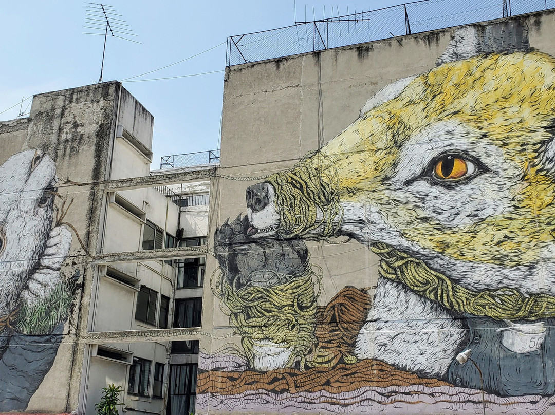 Street Art Roma District-墨西哥城必去景点