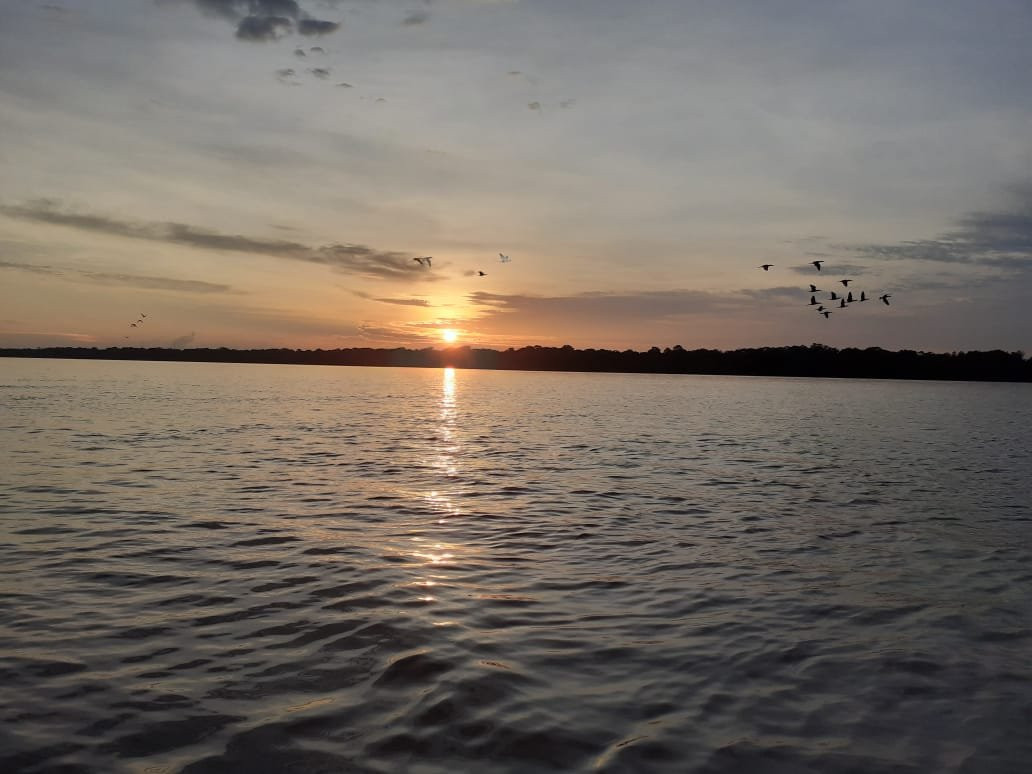 Jungle Tours Amazonas Colombia景点图片