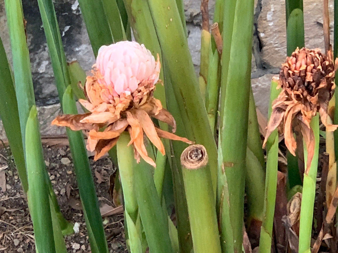 New Malaysian Kitchen-吉隆坡必去景点