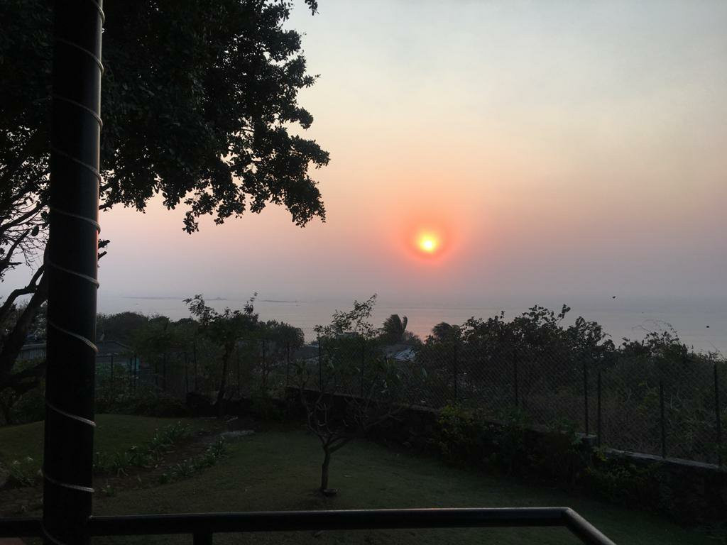 The Lighthouse主图