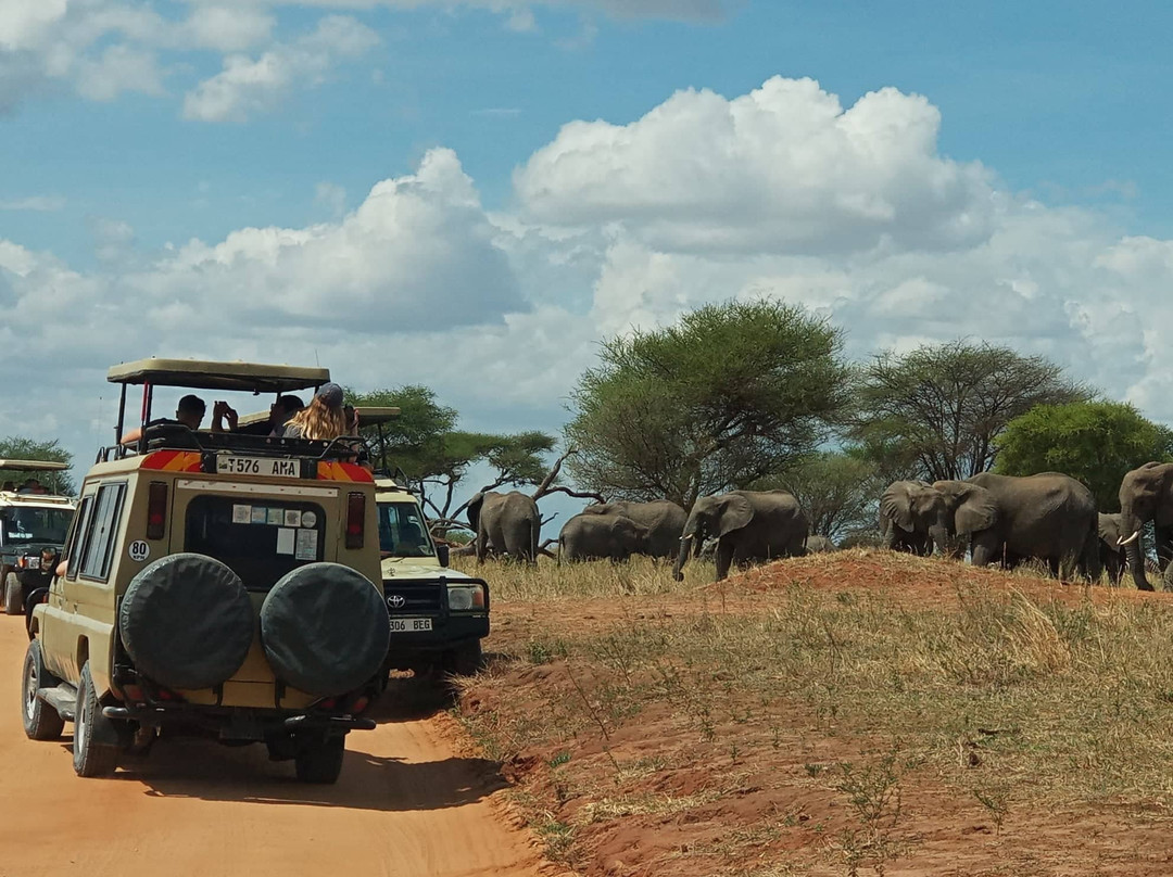 Expedition Africa-阿鲁沙必去景点