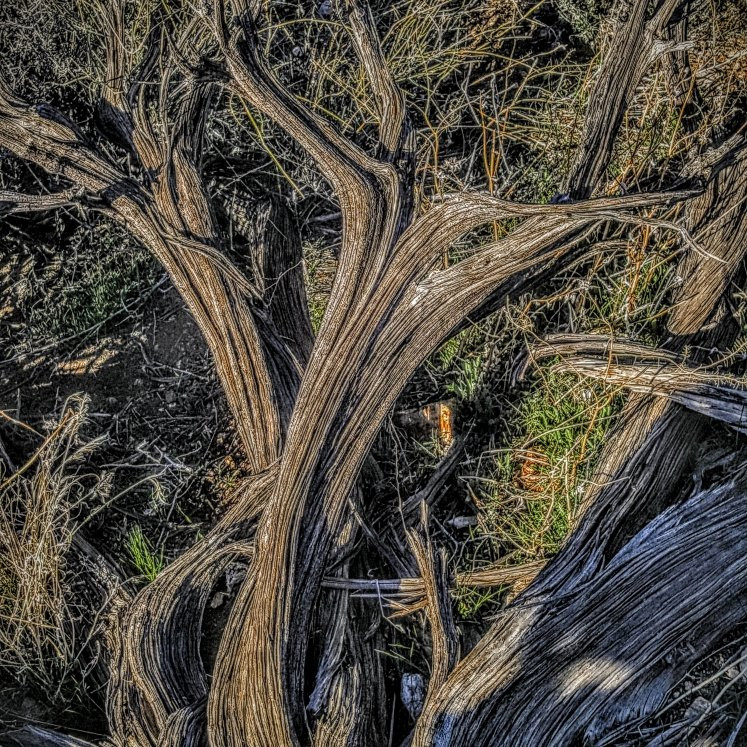 Ryan Mountain-约书亚树国家公园必去景点