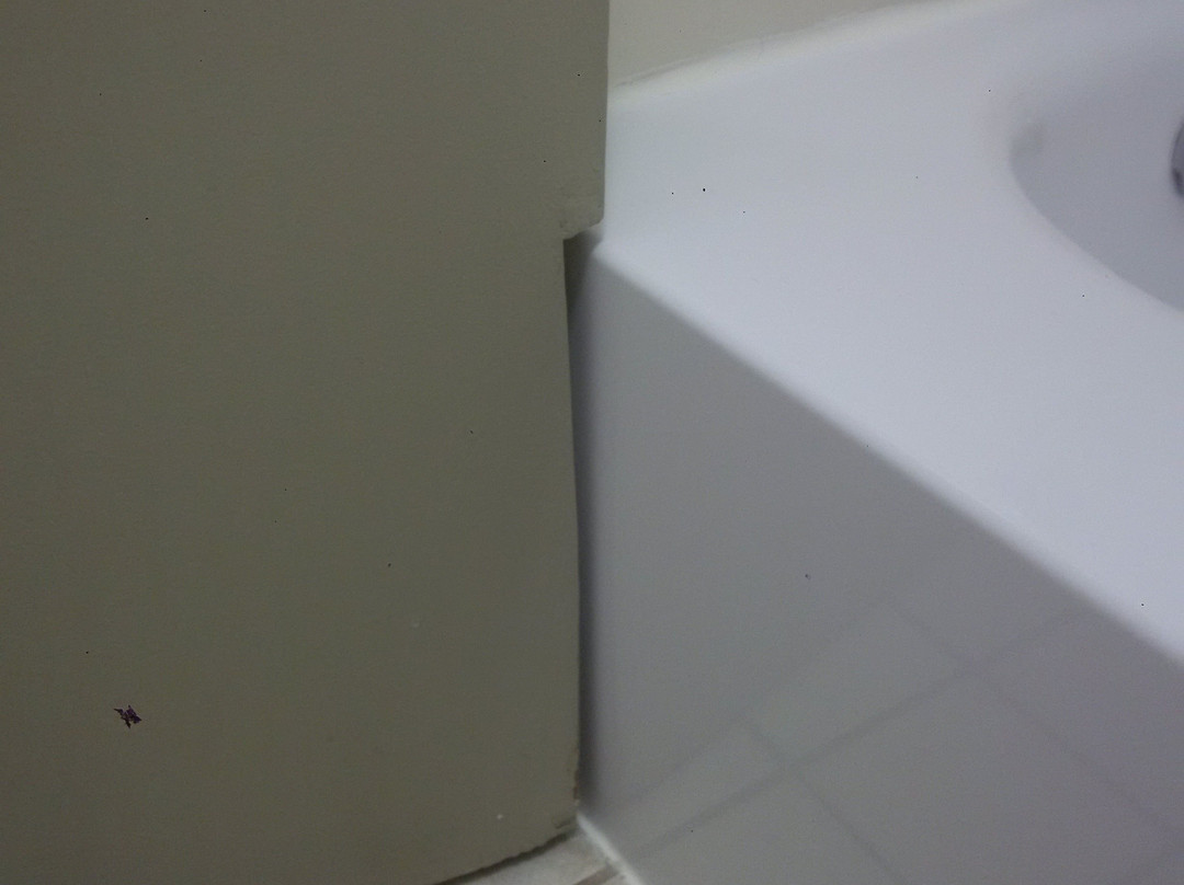 布罗克维尔戴斯酒店主图