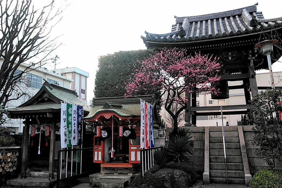 Shakujo-ji Temple-川口市必去景点