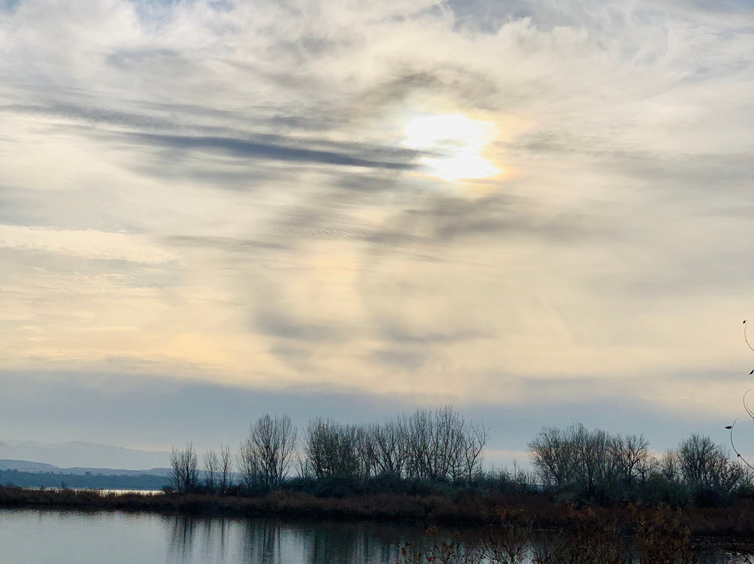 Deer Flat National Wildlife Refuge景点图片
