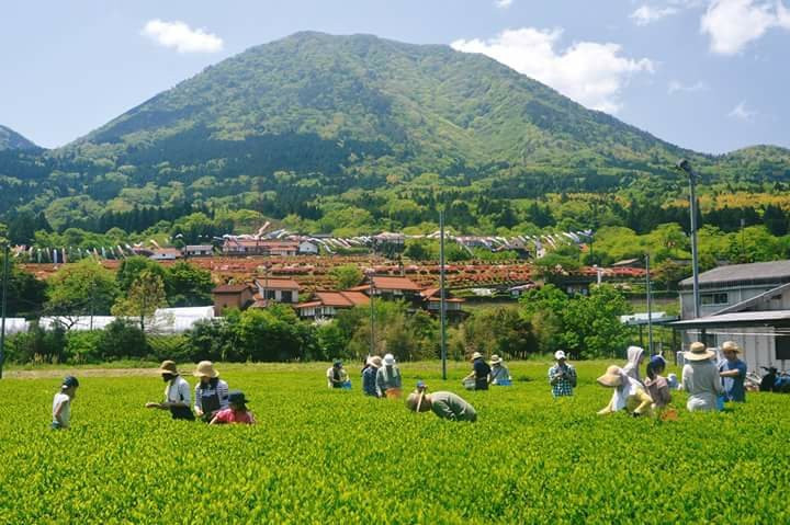 Shusuien-津和野町必去景点