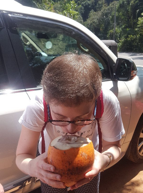 Ratna Gem Halt主图