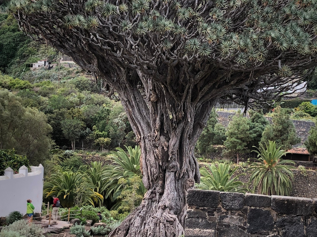 Tenerife Trips - Day Tours-奥德杰海岸必去景点