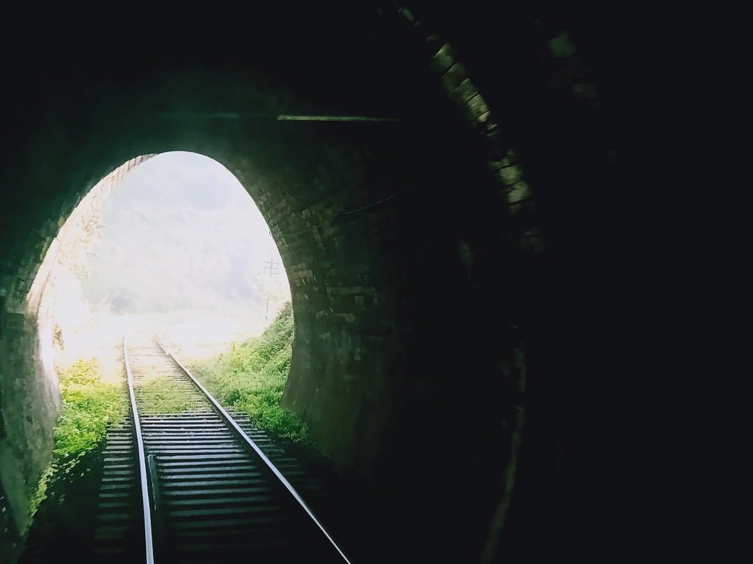 EuroLanka Holidays-加勒必去景点