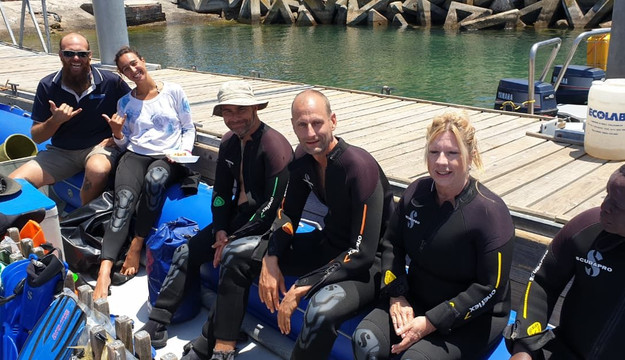 Into The Blue Scuba Centre-开普敦中心区必去景点