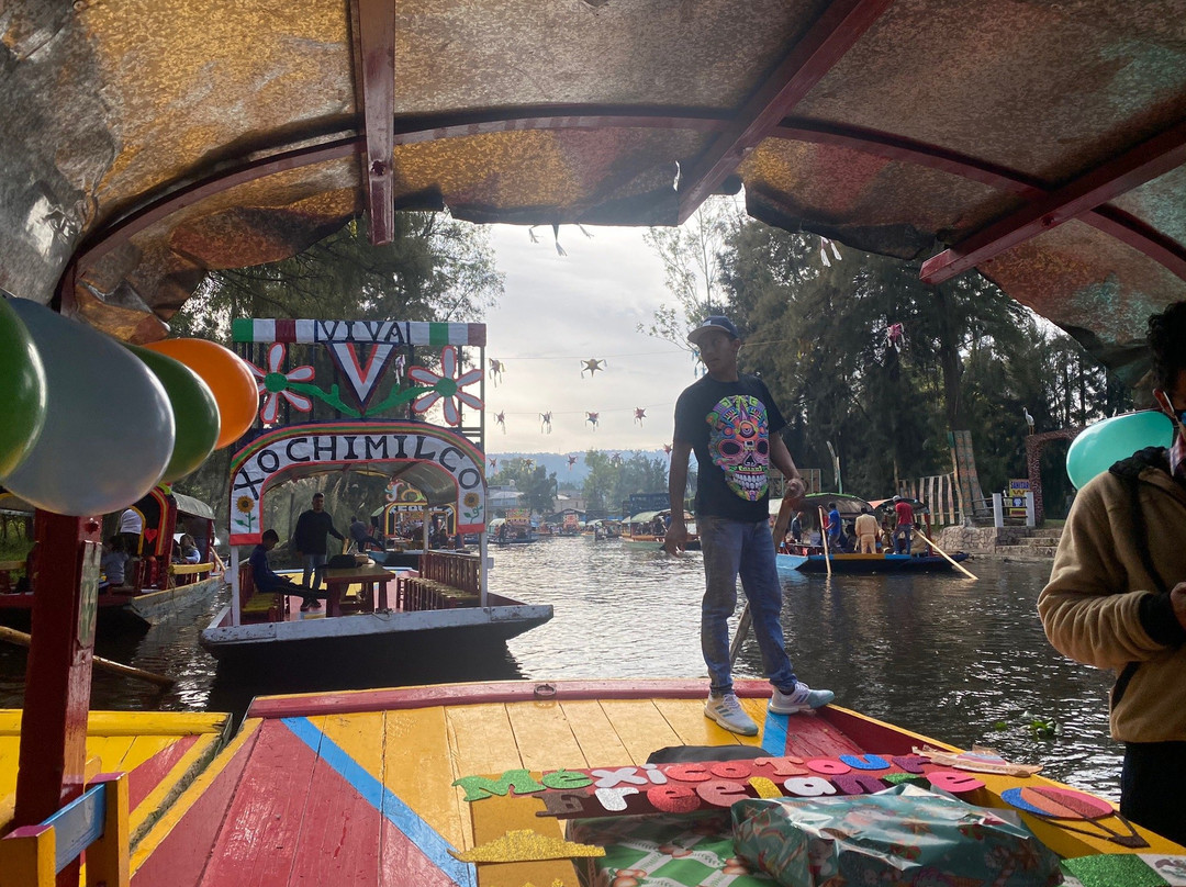 Mexico Tour Freelance-墨西哥城必去景点