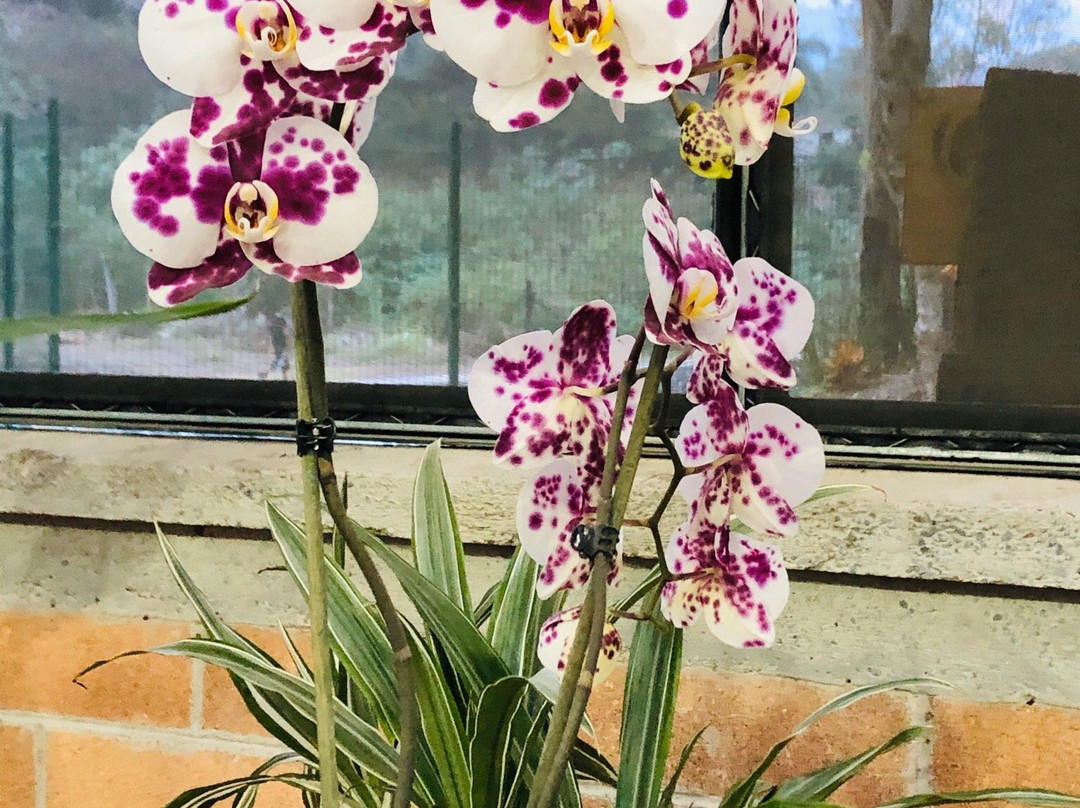 BiOri-欧瑞扎巴必去景点