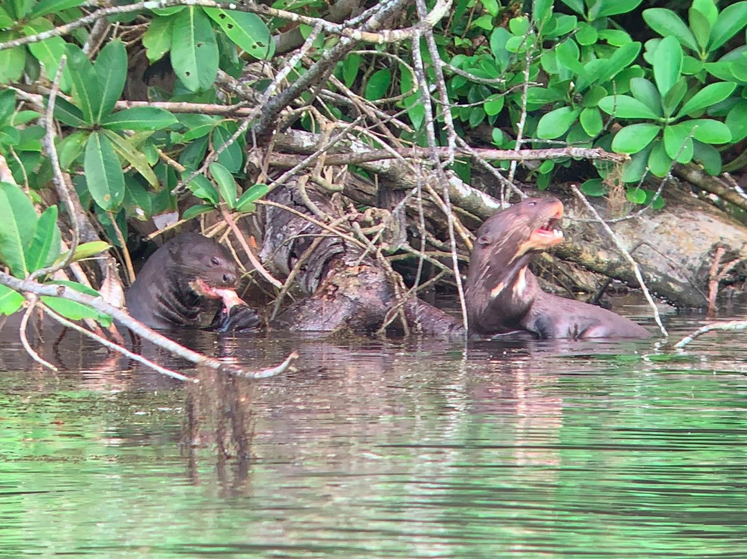 Parque Nacional Del Manu-玛努国家公园必去景点