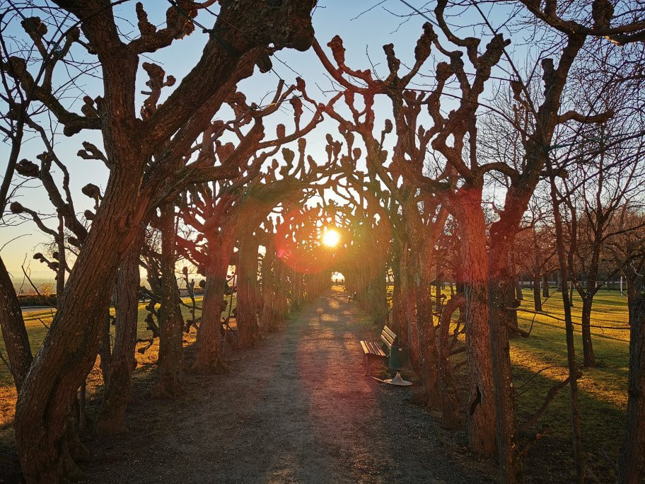 Dachau Palace景点图片