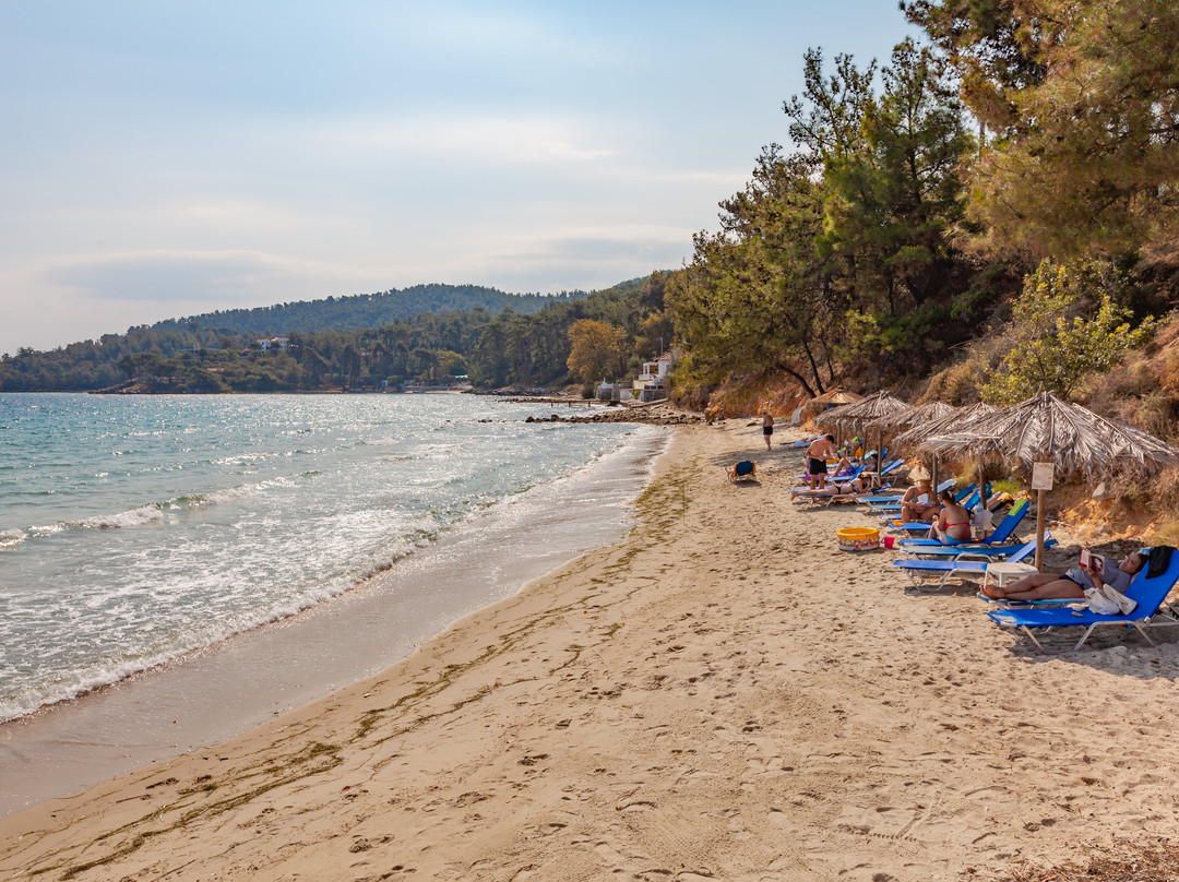 Esperides Hotel & Suites主图