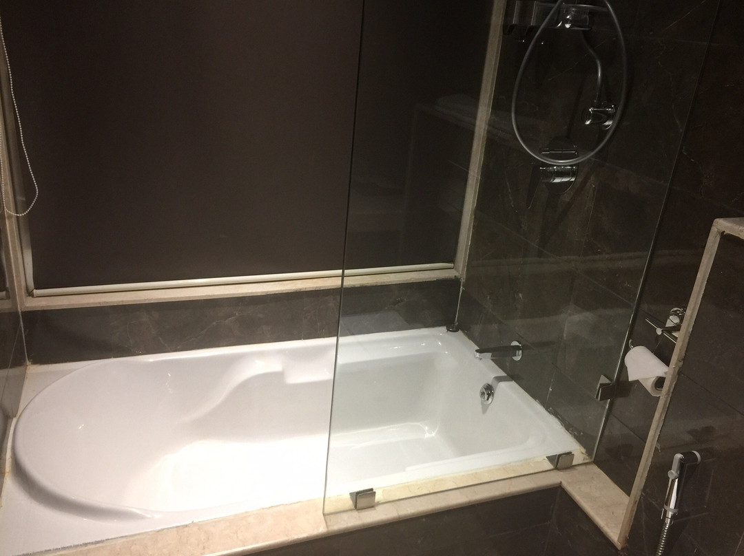 Hotel Midori Vithalapur主图