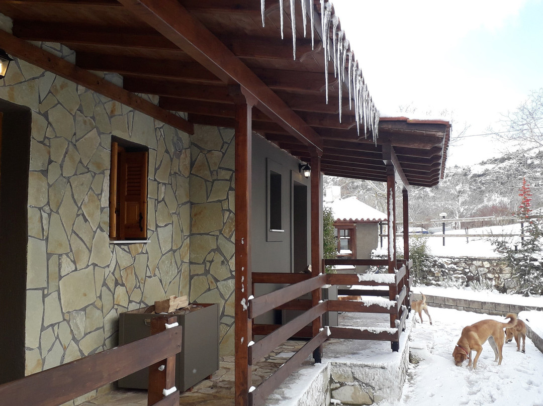 Orias Guesthouse & Farm主图