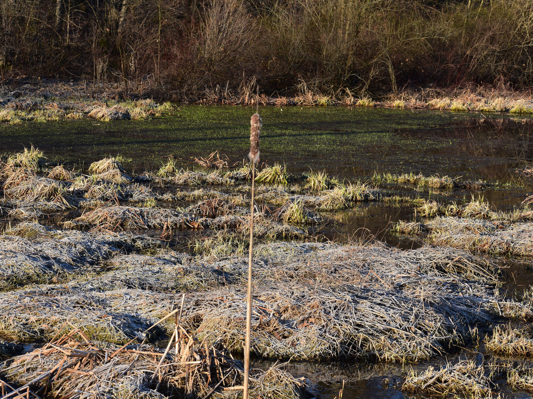 Killbuck Marsh Wildlife Area-Wooster必去景点