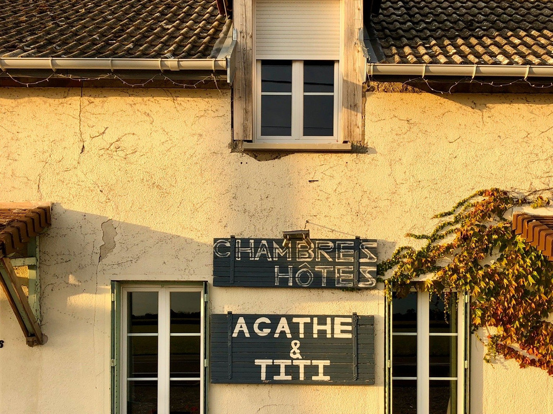Agathe et Titi主图