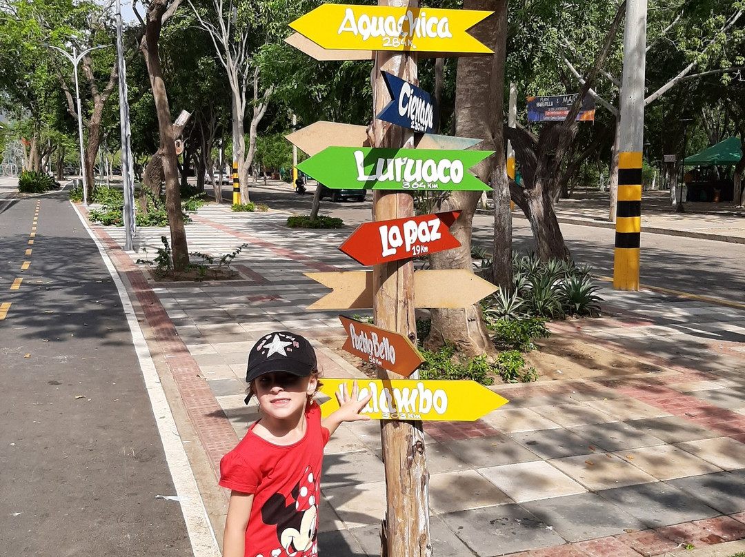 Rio Guatapuri-巴耶杜帕尔必去景点