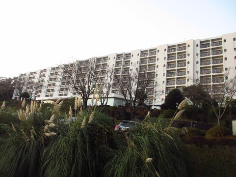 雾岛城堡酒店主图