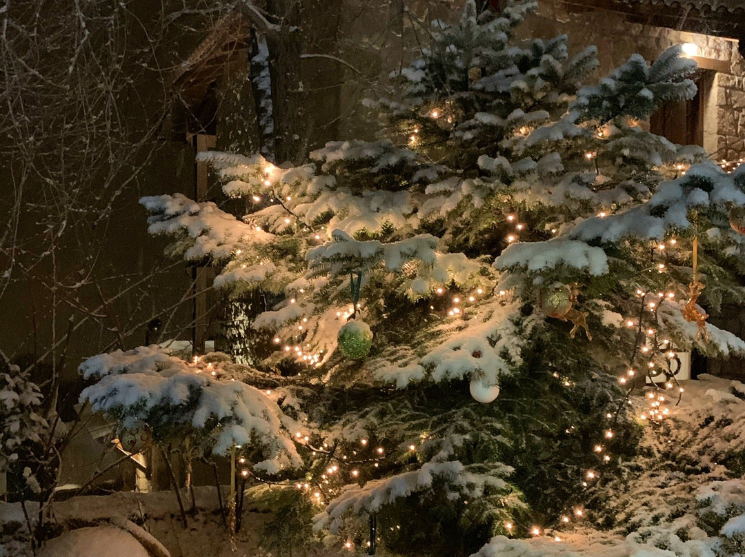 Helydorea Mountain Holidays主图