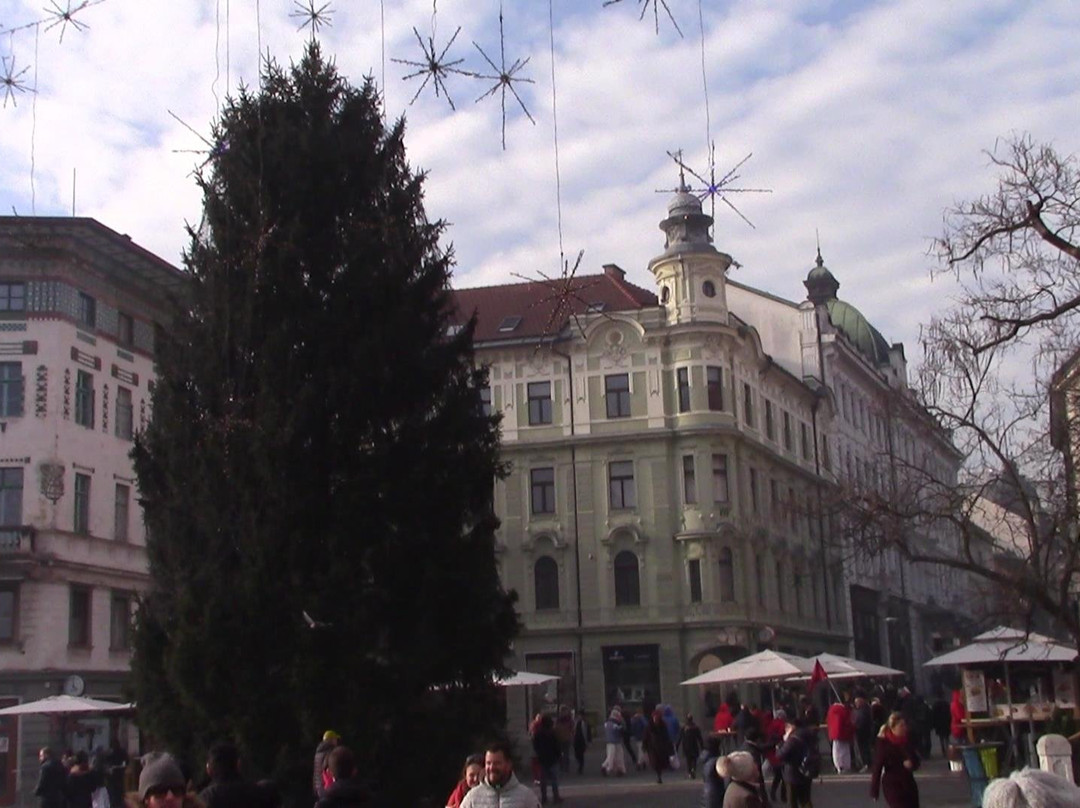Hauptmann House-卢布尔雅那必去景点