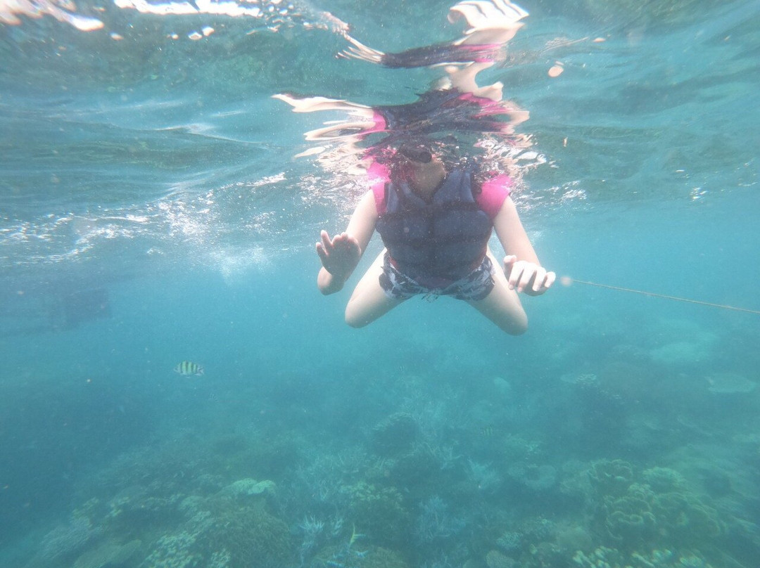 Karimunjawa Package-卡里蒙加瓦必去景点