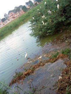 Rubaga-Kathedrale-坎帕拉必去景点