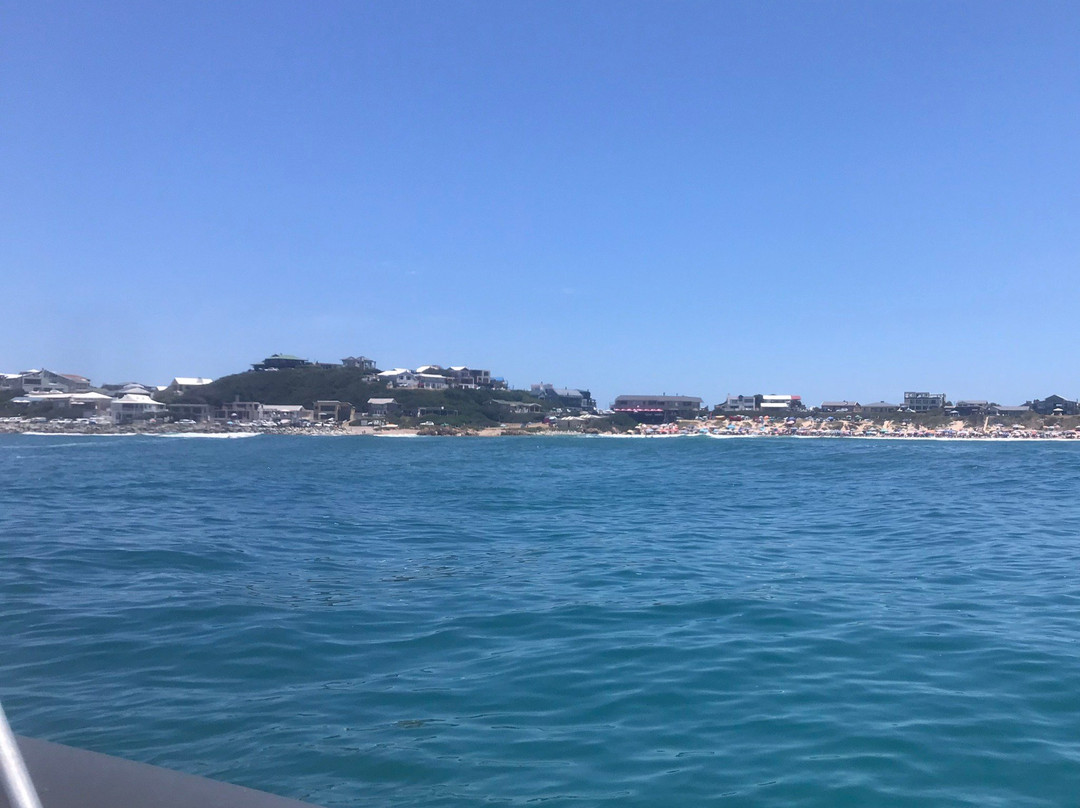 Knysna Adventures-克尼斯纳必去景点