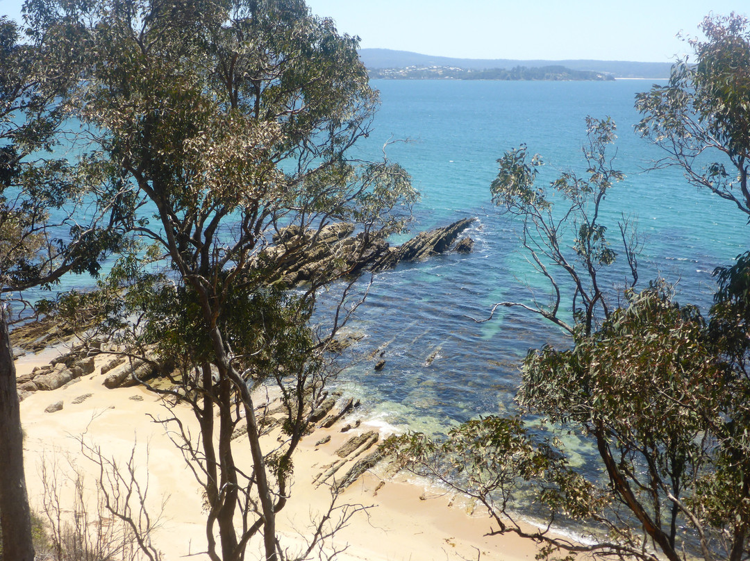 Davidson Whaling Station-伊登港必去景点