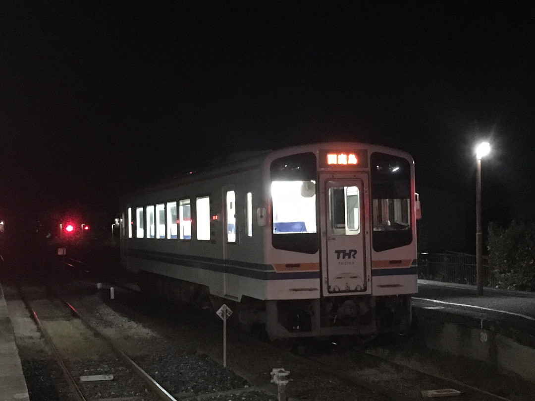 Tenryu Hamanako Railway景点图片