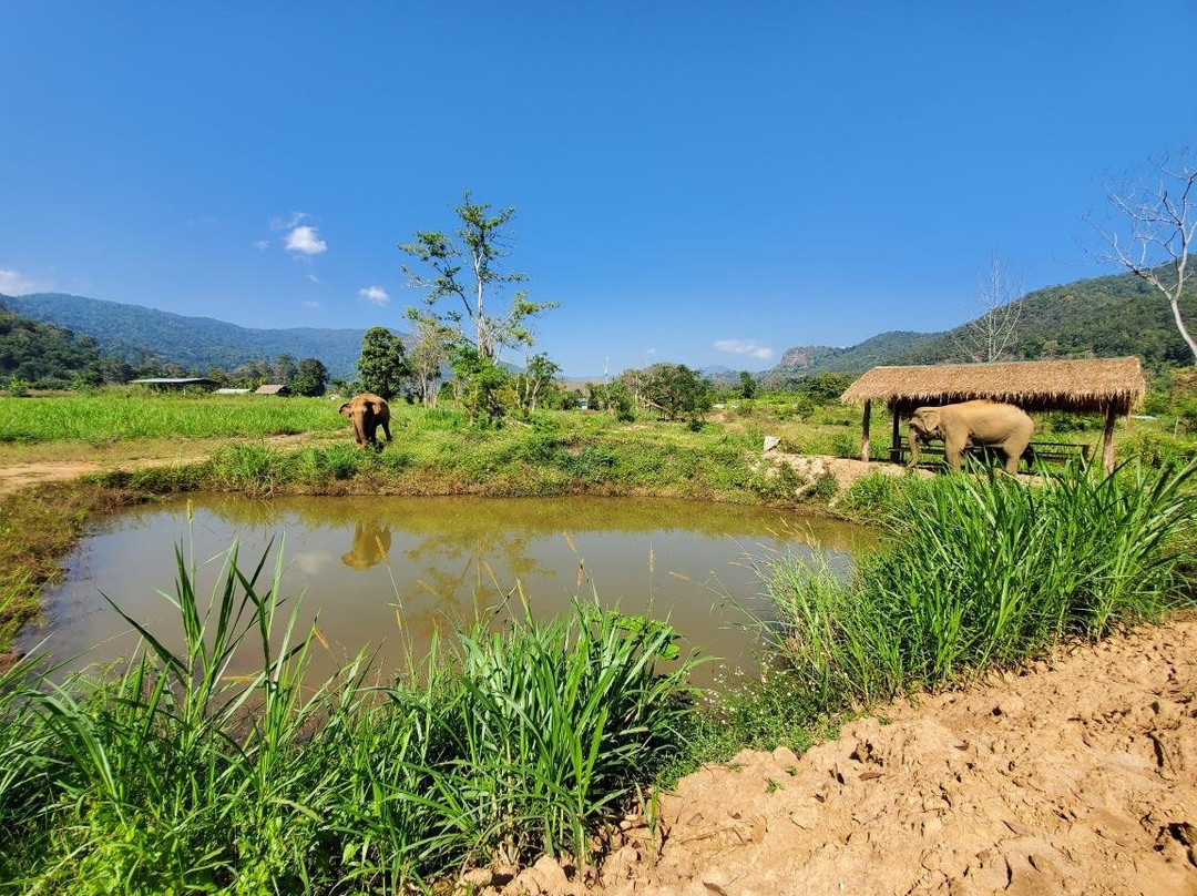 Elephant Green Hill Project-夜登必去景点