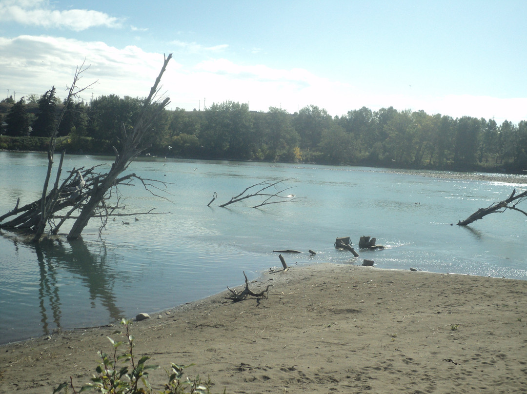Inglewood Bird Sanctuary and Nature Centre-卡尔加里必去景点