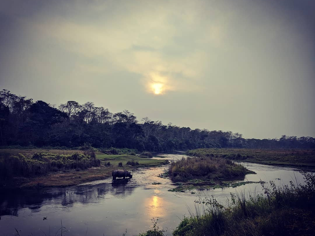 Tiger Residency Resort-奇旺国家公国必去景点