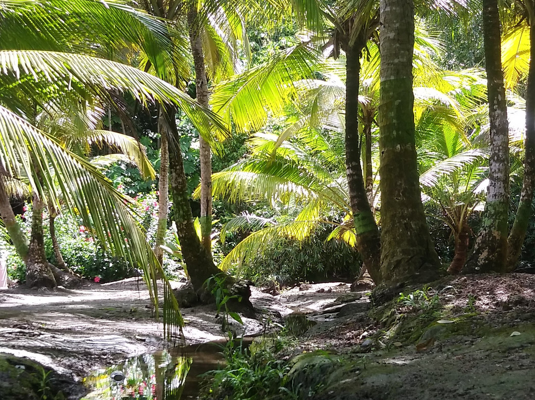 Sanblaseasy-Capurgana必去景点