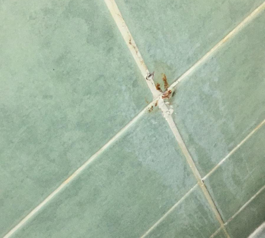 Flora Park Hotel Apartment主图