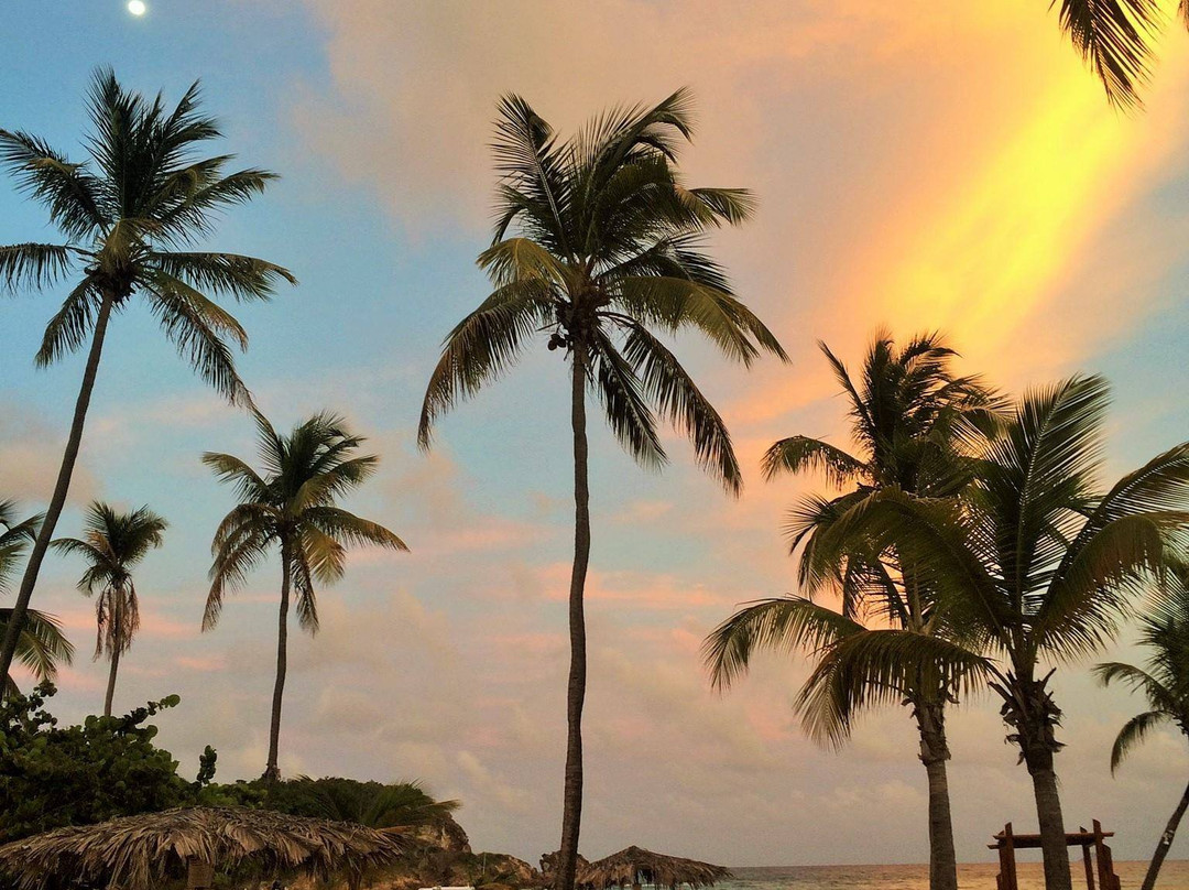 Bolongo Bay Beach-Bolongo Bay必去景点